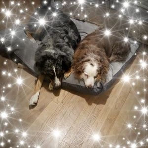 Meet your Posher, Barbara